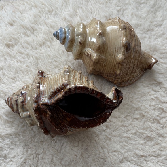 Ceramic Conch Shell Decor - Picture 1 of 6